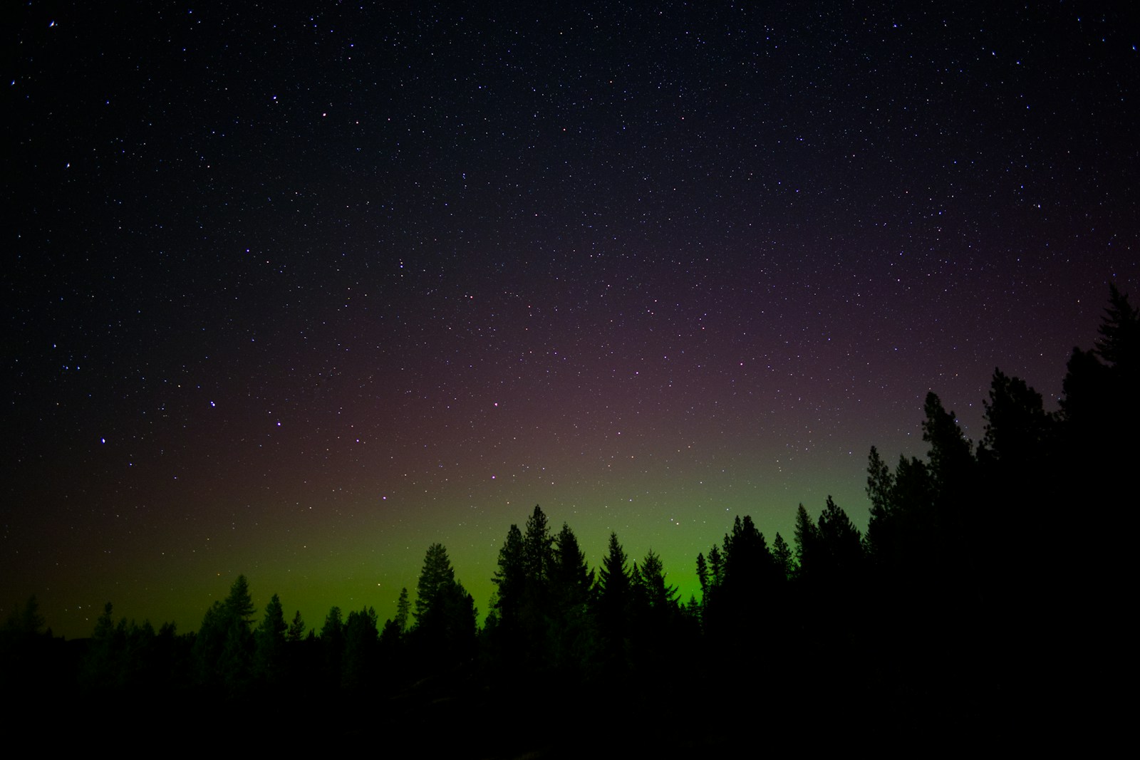 A night sky filled with stars and a green and purple aurora