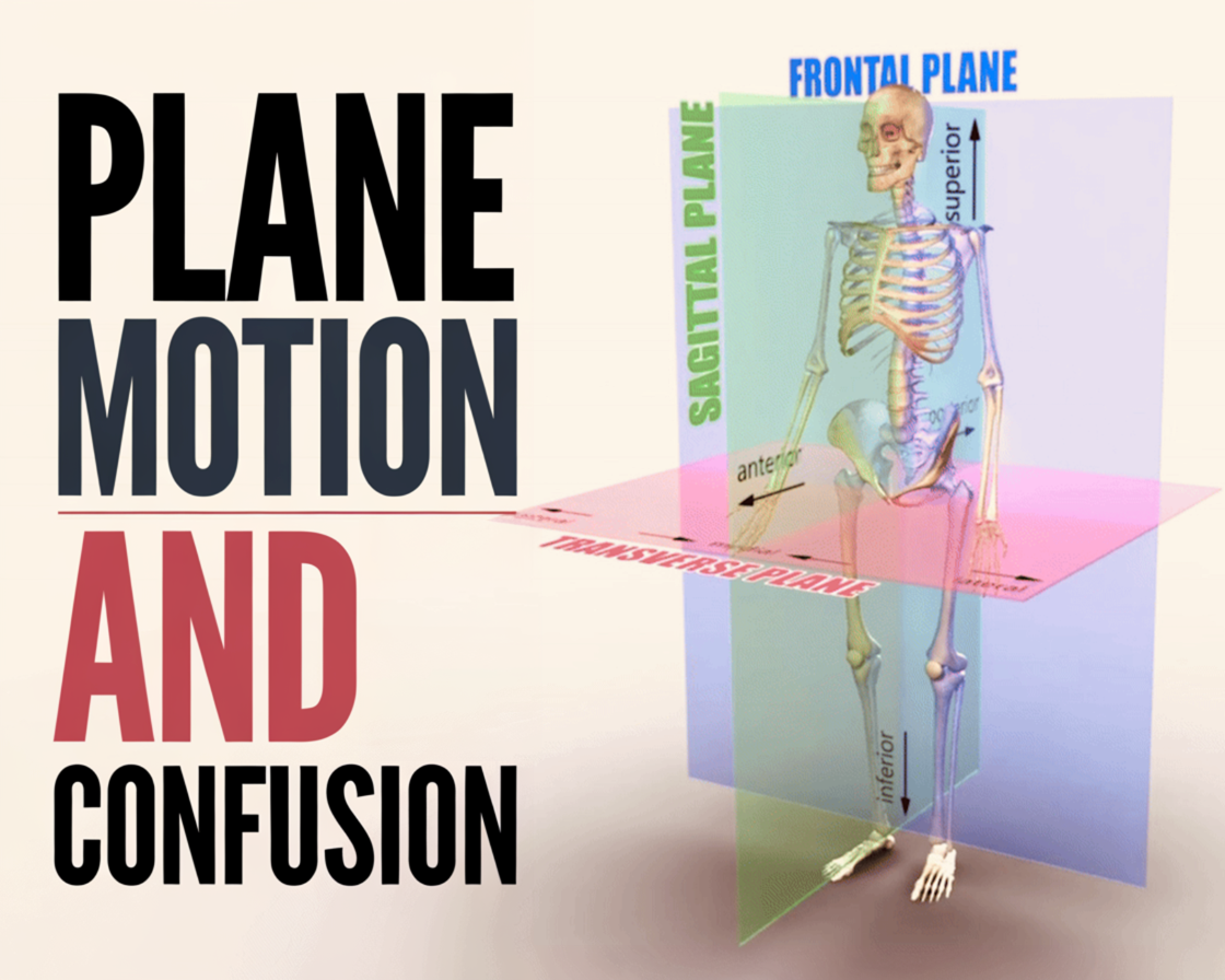 Plane of Motion, Multiplanar Training, and Confusion (ตอนที่ 1)